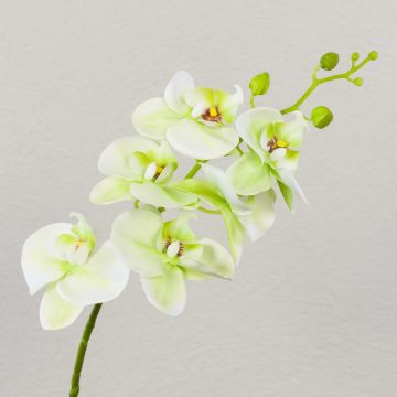 Rama artificial de Orquídea Phalaenopsis OPHELIA, verde-fucsia, 80cm