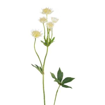 Rama decorativa de umbela GRUHEN, blanco-crema, 65 cm