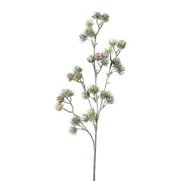 Rama decorativa de cedro SNALTI con piñas, congelada, blanco-verde, 65cm