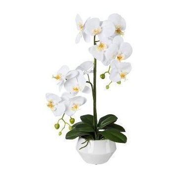 Flor de plástico Phalaenopsis Orquídea KASDA, maceta de cerámica, raíces, blanco, 50 cm