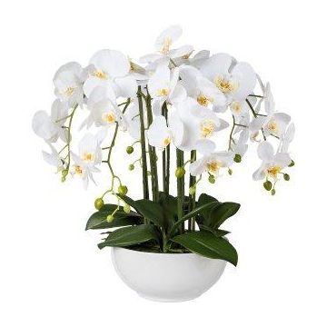 Flor de plástico Phalaenopsis Orquídea KASDA, maceta de cerámica, raíces, blanco, 55cm Flor de plástico Phalaenopsis Orquídea KASDA, maceta de cerámica, raíces, blanco, 55cm