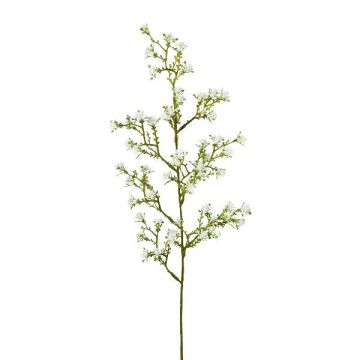Rama decorativa flor estrella KLIRMO, blanca, 60 cm