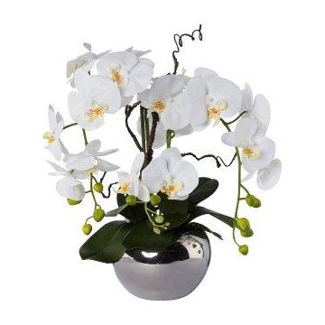 Decoración de orquídea con ramas de sauce retorcido LULUDI, maceta de cerámica plateada, raíces blancas, 55 cm