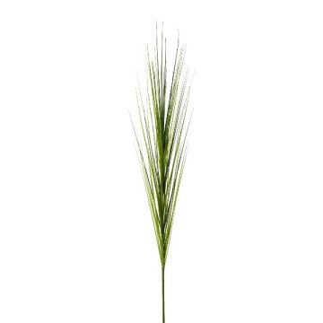 Rama decorativa de junco TERVO, verde, 115 cm