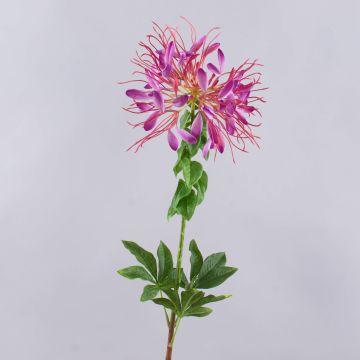 Flor araña artificial HILDEGARD, violeta, 85cm