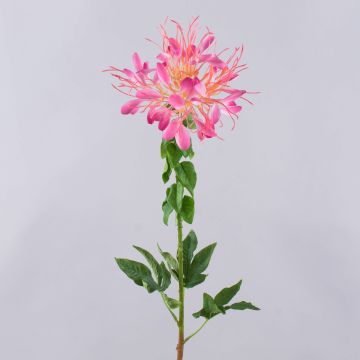 Flor araña artificial HILDEGARD, rosa, 85cm
