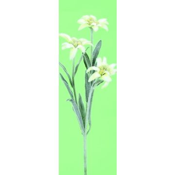 Rama artificial de edelweiss alpino HARTYN, blanco, 30 cm