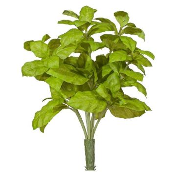 Hierba decorativa albahaca KRITIKA en varilla, verde, 28 cm