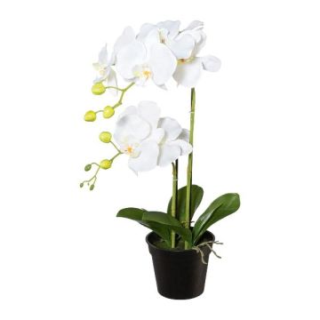 Flor de plástico Phalaenopsis orquídea WENJAN, maceta decorativa, raíces, blanco, 55 cm