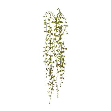 Colgador artificial Mühlenbeckia ACARAY, varilla, verde-marrón, 85 cm