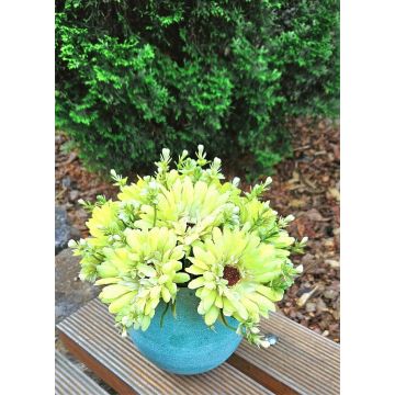 Ramo de flores artificiales Gerbera TEMBAR, verde crema, 30 cm, Ø 22 cm