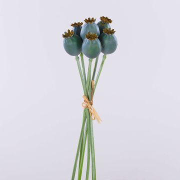 Cápsulas de amapola artificiales TSCHIKO en ramillete, verde menta, 30 cm Cápsulas de amapola artificiales TSCHIKO en ramillete, verde menta, 30 cm