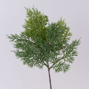 Rama decorativa de cedro BALTHILDE, verde, 50 cm Rama decorativa de cedro BALTHILDE, verde, 50 cm