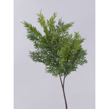Rama decorativa de cedro BALTHILDE, verde, 80 cm Rama decorativa de cedro BALTHILDE, verde, 80 cm