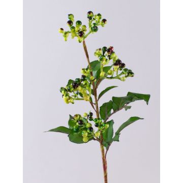 Rama artificial de bayas de saúco CHATANGA con frutos, verde-rojo, 60 cm Rama artificial de bayas de saúco CHATANGA con frutos, verde-rojo, 60 cm