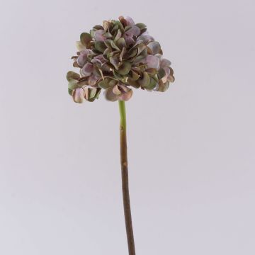 Hortensia artificial MANDISA, verde-rosa, 45cm, Ø16cm Hortensia artificial MANDISA, verde-rosa, 45cm, Ø16cm