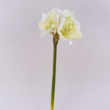 Flor decorativa de amarilis MARKUNO, blanco crema, 60 cm Flor decorativa de amarilis MARKUNO, blanco crema, 60 cm
