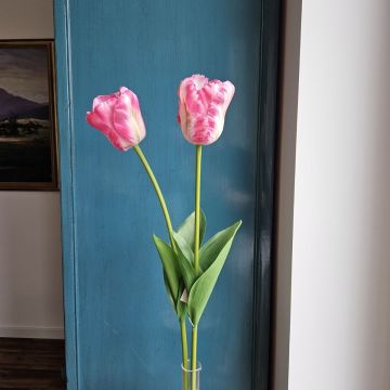 Flor artificial tulipán PJASSINA, rosa oscuro-crema, 65 cm