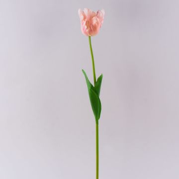 Tulipán artificial PETSCHORA, rosa albaricoque, 65 cm