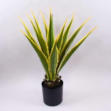 Agave furcraea gigantea artificial CHERIE, verde-amarillo, 80cm Agave furcraea gigantea artificial CHERIE, verde-amarillo, 80cm