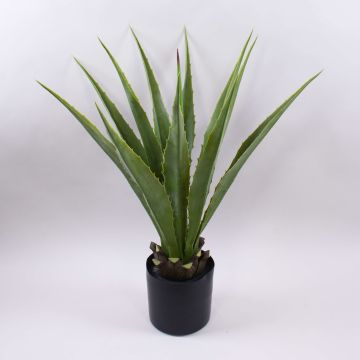 Agave furcraea gigantea artificial CHERIE, verde-gris, 80cm Agave furcraea gigantea artificial CHERIE, verde-gris, 80cm