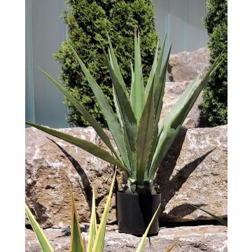 Agave furcraea gigantea artificial CHERIE, verde-gris, 100 cm