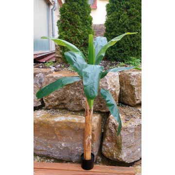 Planta artificial platanero SHARA, 150 cm
