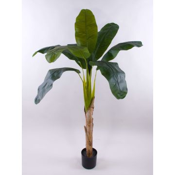 Planta artificial platanero SHARA, 150cm