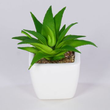 Aloe vera decorativa KATNISS, maceta de cerámica, verde, 9 cm