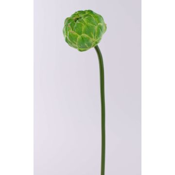 Alcachofa decorativa ABUKUMA, verde, 50 cm Alcachofa decorativa ABUKUMA, verde, 50 cm