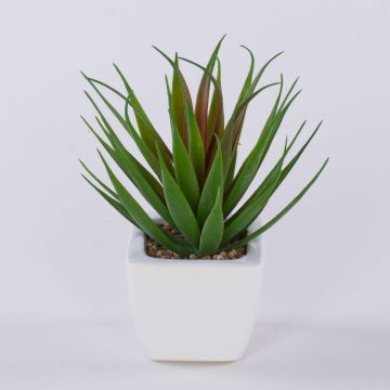 Agave decipiens decorativa KATNISS en maceta de cerámica, verde-rojo, 19 cm Agave decipiens decorativa KATNISS en maceta de cerámica, verde-rojo, 19 cm