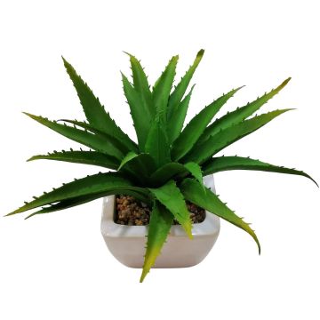 Aloe vera decorativa KATNISS, maceta de cerámica, verde, 19 cm