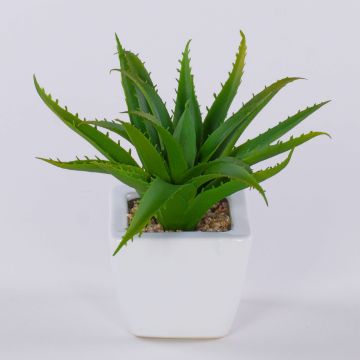 Aloe vera decorativa KATNISS, maceta de cerámica, verde, 19 cm
