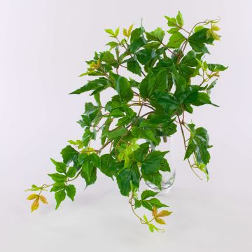 Planta artificial ZANTI de tres puntas en varilla, verde-marrón, 50 cm Planta artificial ZANTI de tres puntas en varilla, verde-marrón, 50 cm