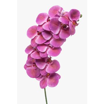 Rama artificial de orquídea Phalaenopsis XURI, rosa, 100 cm Rama artificial de orquídea Phalaenopsis XURI, rosa, 100 cm