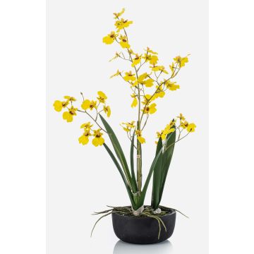 Flor artificial de orquídea Oncidium DEISHA en bandeja decorativa, raíces, amarilla, 60 cm Flor artificial de orquídea Oncidium DEISHA en bandeja decorativa, raíces, amarilla, 60 cm
