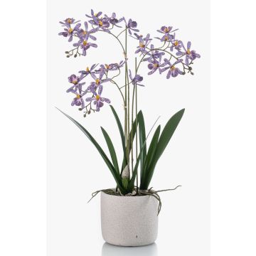 Orquídea artificial Renanthera BLANI en maceta de cerámica, raíces, violeta-blanco-amarillo, 55 cm