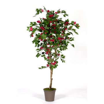 Bougainvillea artificial ISMUNDE, tronco real, flores, rosa, 180 cm - Fabricado en Italia