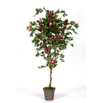 Bougainvillea artificial ISMUNDE, tronco real, flores, rosa, 210 cm - Fabricado en Italia