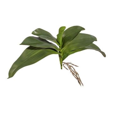 Hojas artificiales de orquídea Phalaenopsis BRULST, varilla, raíces, 30 cm