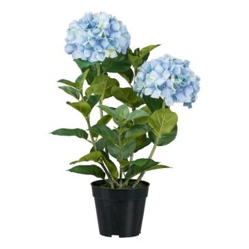 Flor decorativa Hortensia BINEFA, azul claro, 60 cm