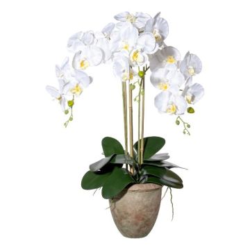 Orquídea Phalaenopsis textil FRIMTOR en maceta de terracota, raíces, blanca, 75 cm