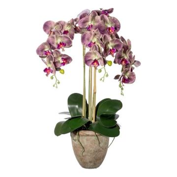 Orquídea Phalaenopsis textil FRIMTOR en maceta de terracota, raíces, verde-lila, 75 cm