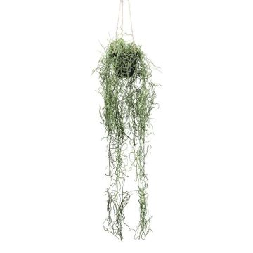 Decoración Tillandsia Usneoides FRULD en maceta decorativa, verde, 80 cm