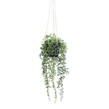Planta artificial suculenta Senecio GRISTY en maceta decorativa, colgante, verde, 55 cm