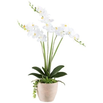 Arreglo floral artificial de orquídea y suculentas FININ, maceta de cemento, raíces, blanco, 55 cm