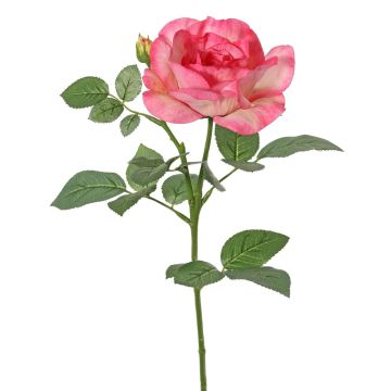 Flor artificial rosa WAIOLA, rosa-rosa, 65 cm, Ø 11 cm Flor artificial rosa WAIOLA, rosa-rosa, 65 cm, Ø 11 cm
