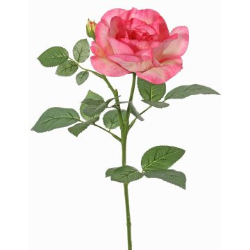 Flor artificial rosa WAIOLA, rosa-fucsia, 65cm, Ø11cm Flor artificial rosa WAIOLA, rosa-fucsia, 65cm, Ø11cm