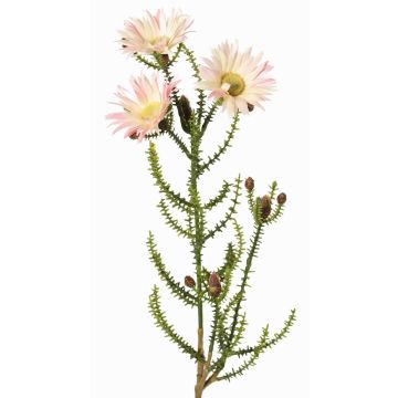Flor artificial de capullos BEYA, crema-rosa, 60cm, Ø6cm
