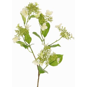 Rama de hortensia artificial KATHANI, crema, blanco-verde, 80cm, Ø10-13cm Rama de hortensia artificial KATHANI, crema, blanco-verde, 80cm, Ø10-13cm